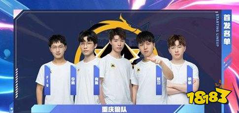 波动的正向